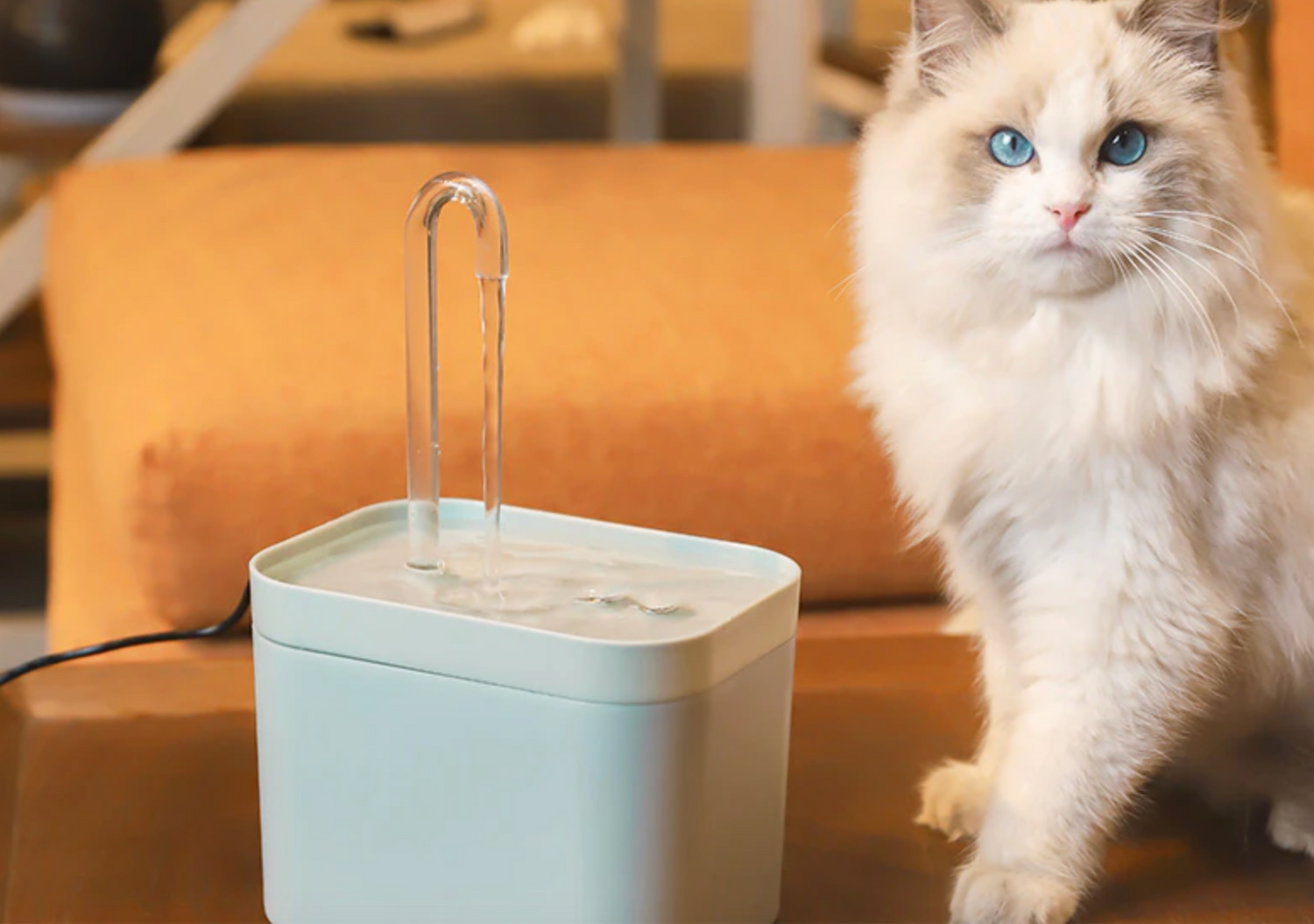 An application scenario or product detail of cat water fountian - Image 20