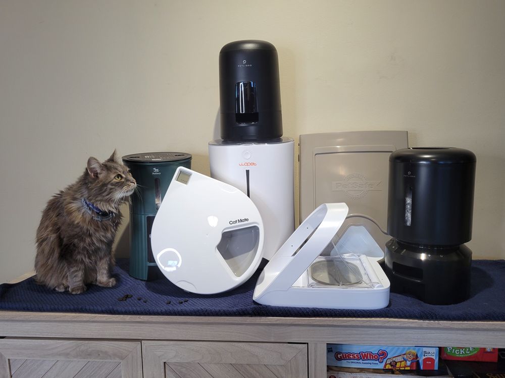 An application scenario or product detail of cat with automatic feeder - Image 2