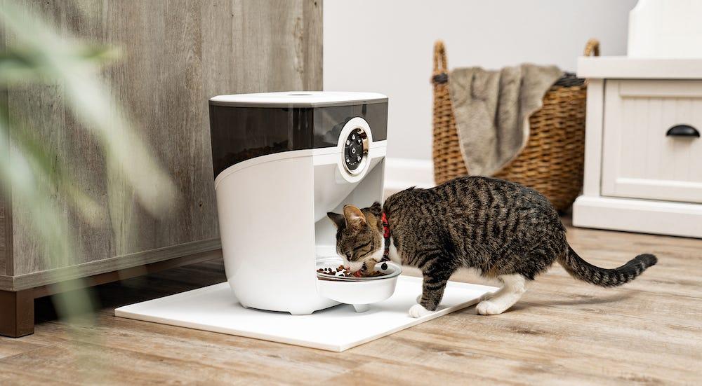 An application scenario or product detail of cat with automatic feeder - Image 6