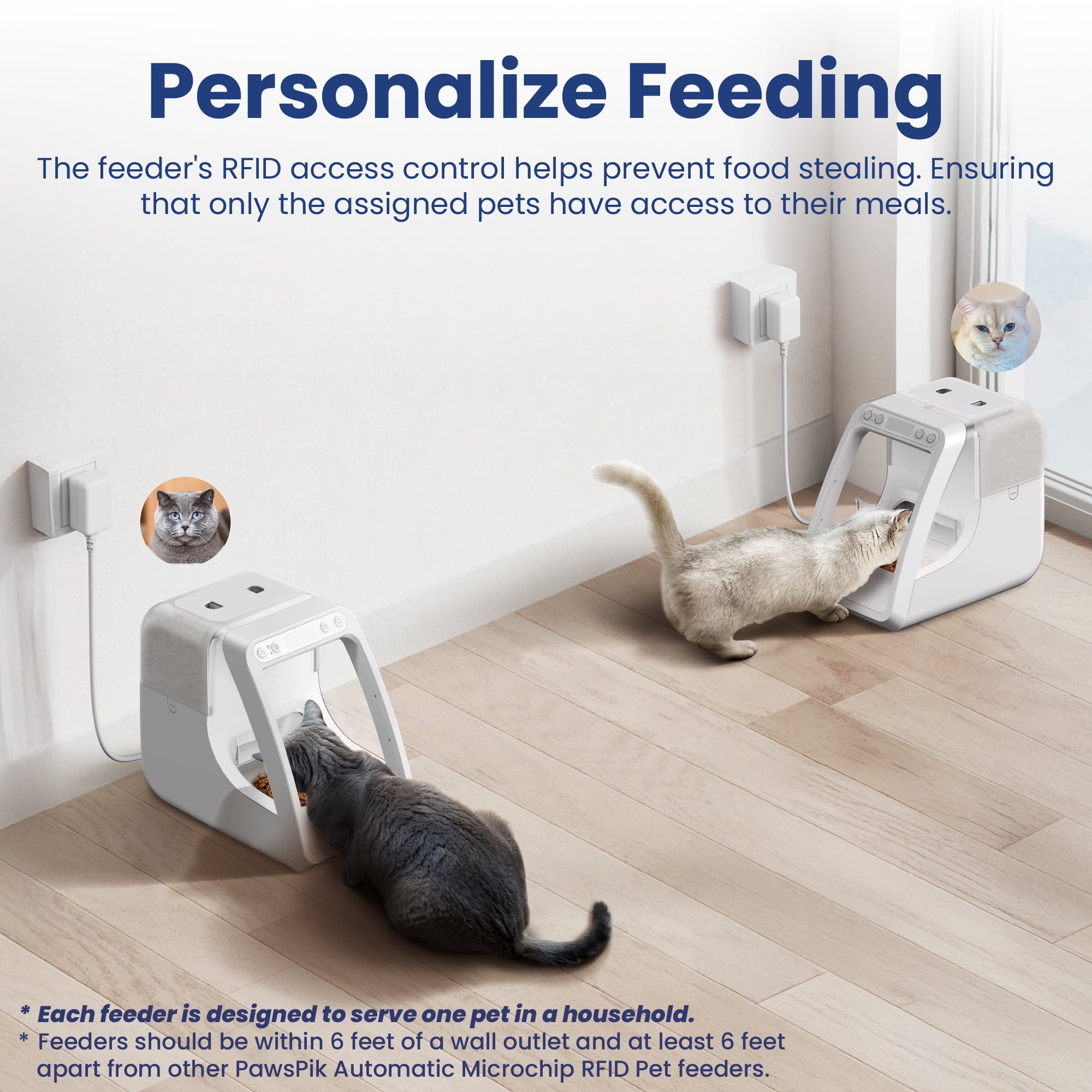 An application scenario or product detail of cat with automatic feeder - Image 7