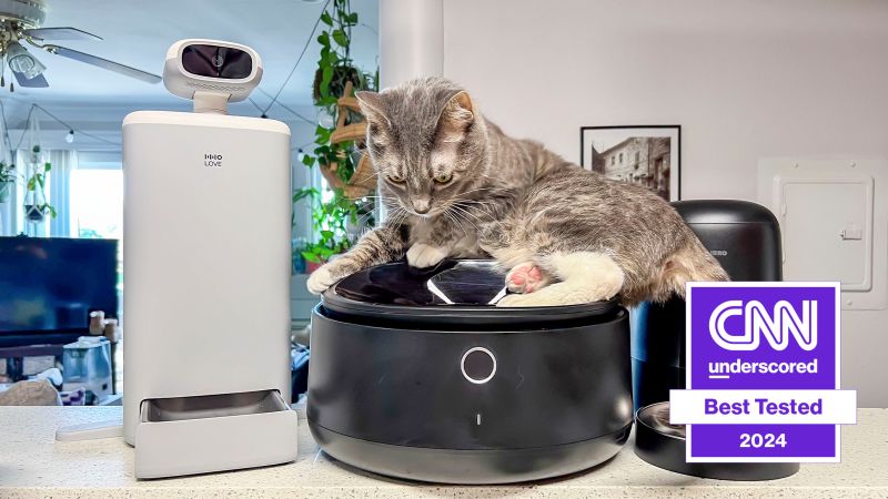 An application scenario or product detail of cat with automatic feeder - Image 9