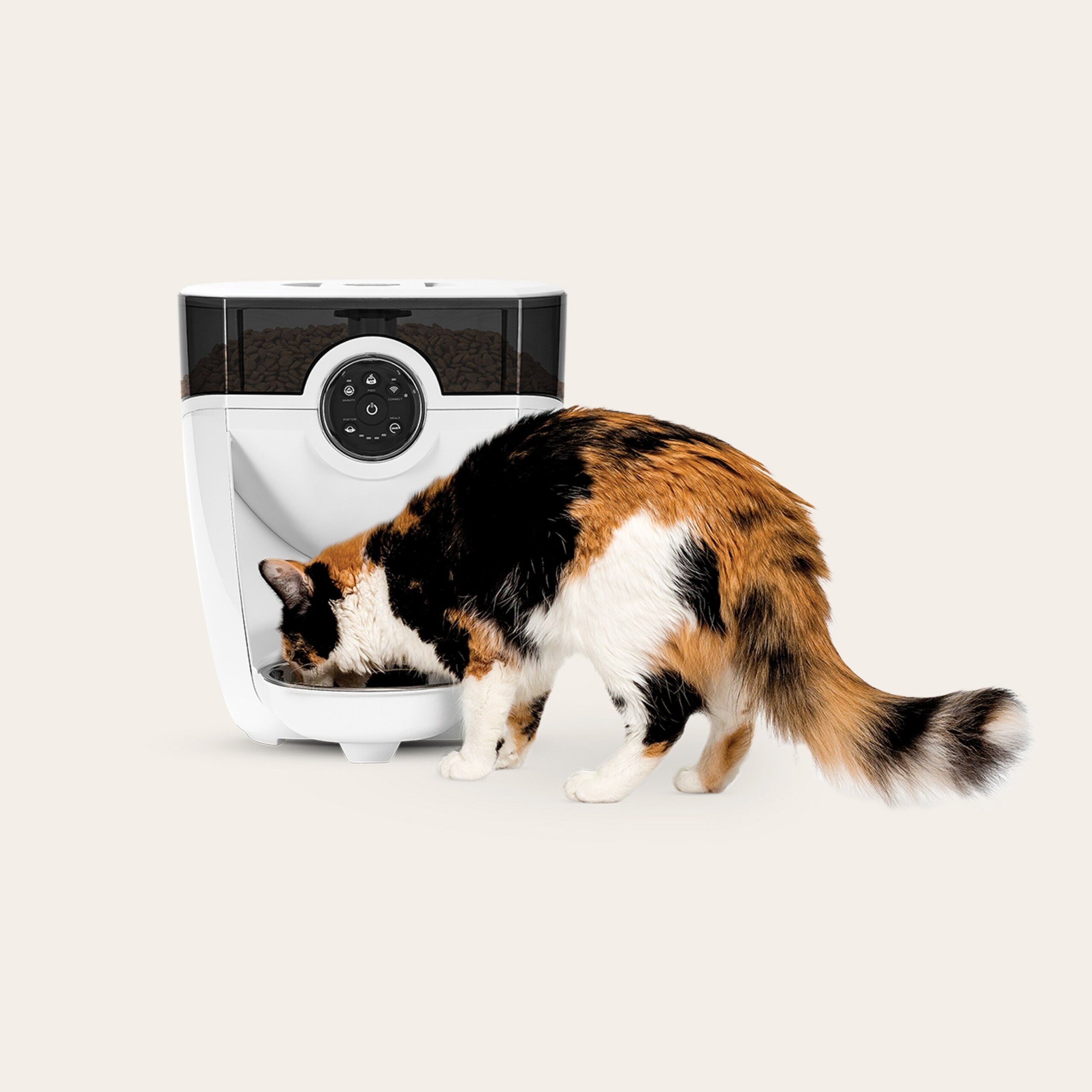 An application scenario or product detail of cat with automatic feeder - Image 19