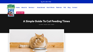 Cathy's Critter Care - Ideal Cat Feeding Schedule