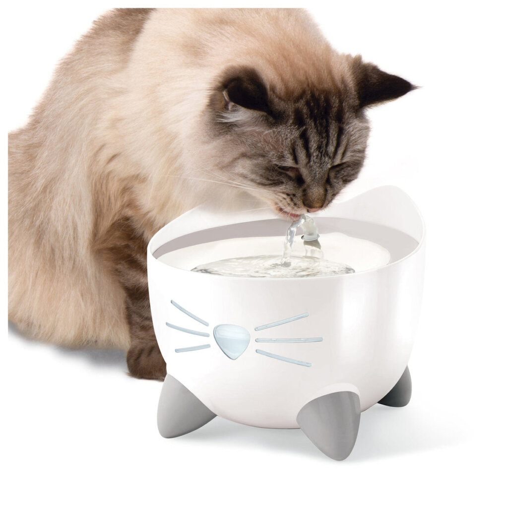 Featured image for the catit drinking fountain guide