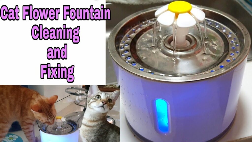 Featured image for the catit water fountain not flowing guide