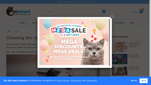 Zolux - Water Fountain