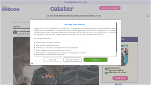 Catster - Gravity Feeders