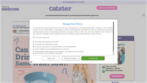 Catster - Healthy Pet Care