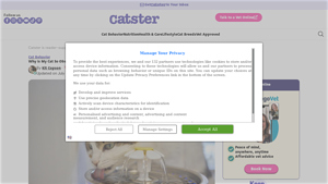 Hepper - Stainless Steel Cat Water Fountain