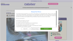 Catster - Cat Water Fountains & Bowls