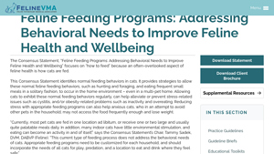 CatVets - Feline Feeding Insights