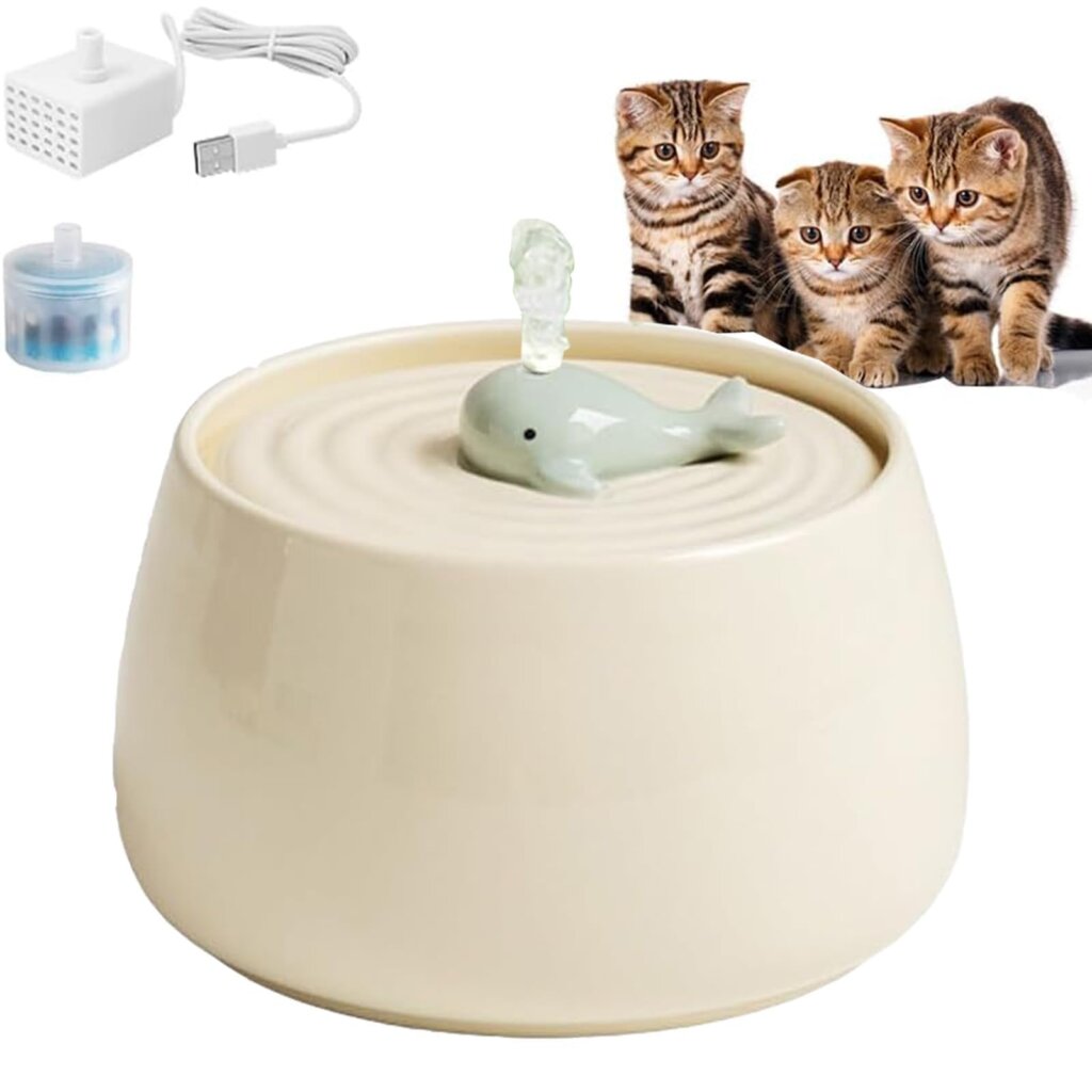 Featured image for the ceramic water dispenser for cats guide