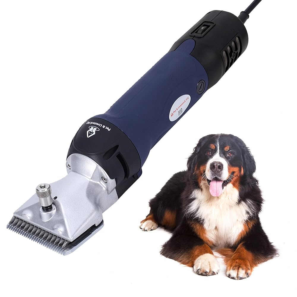Featured image for the cheap dog trimmers guide
