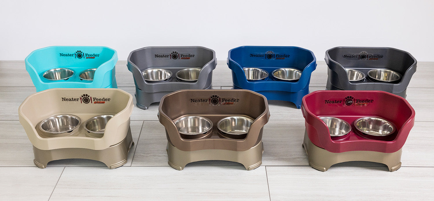 An application scenario or product detail of cheap pet feeder - Image 11