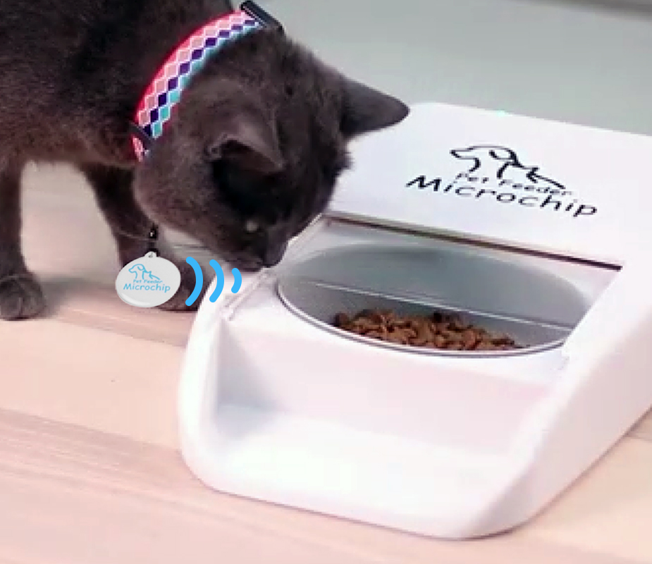 An application scenario or product detail of cheap pet feeder - Image 17