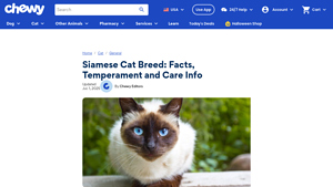 Chewy - Siamese Cat Breed Facts