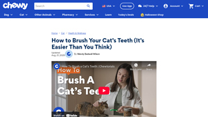Chewy - At-Home Cat Teeth Cleaning Guide