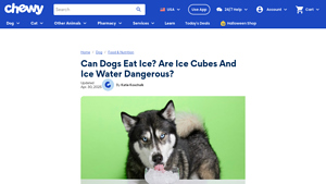 Chewy - Top Teething Toys