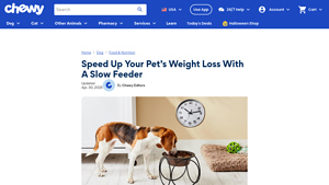 Chewy - Outward Hound Fun Feeder