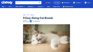 Chewy - Easy-Going Cat Breeds Guide