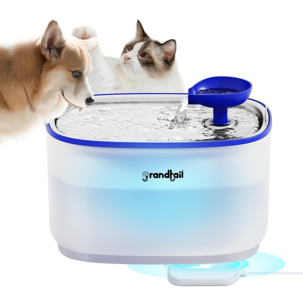 An application scenario or product detail of circulating water bowl for cats - Image 2