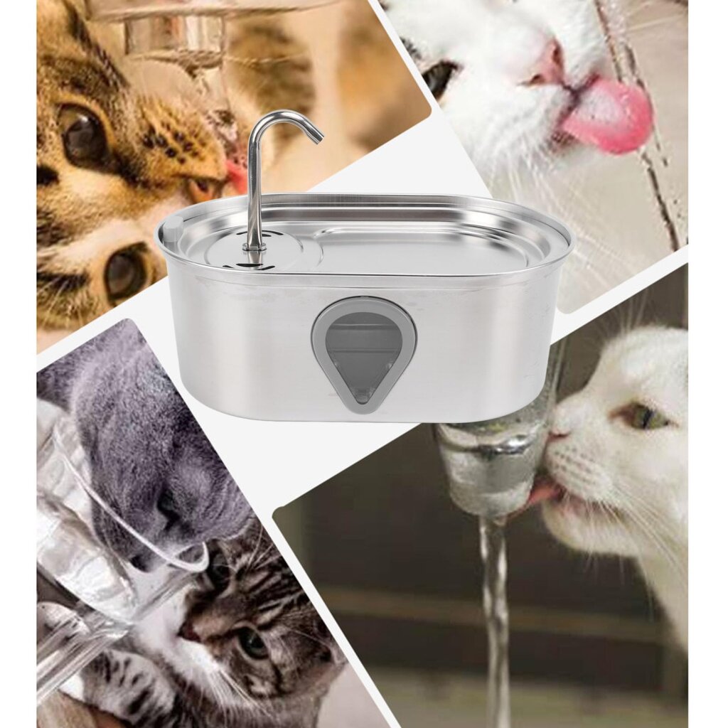 Featured image for the circulating water bowl for cats guide