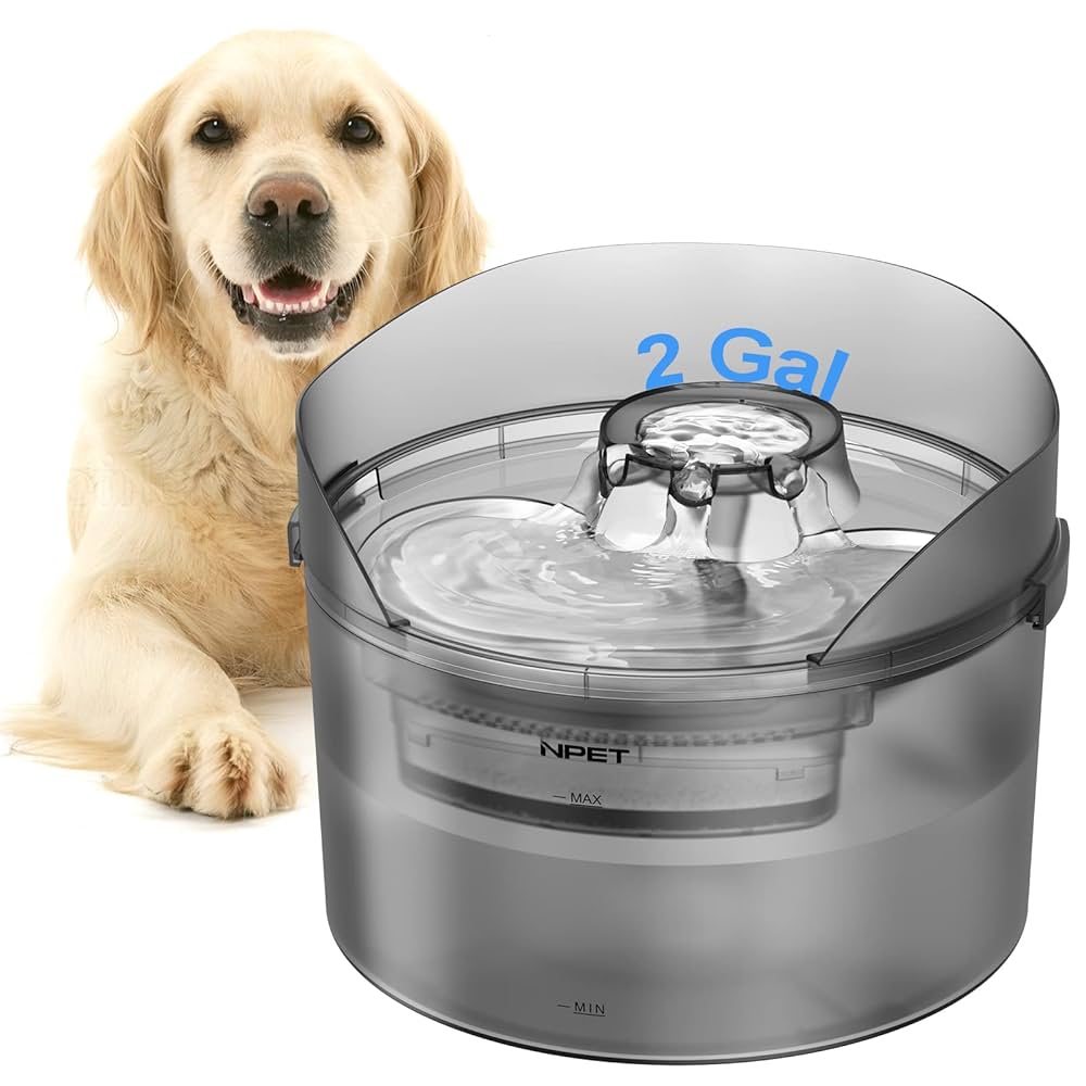 An application scenario or product detail of circulating water bowl for dogs - Image 17