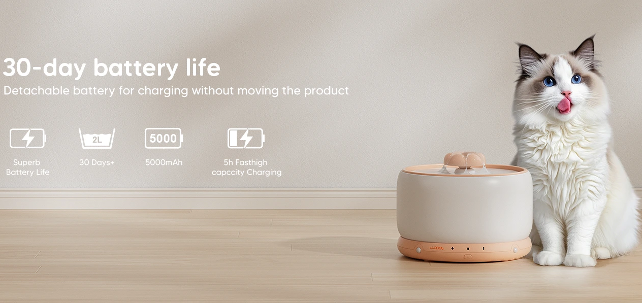 An application scenario or product detail of cold water for cats - Image 6