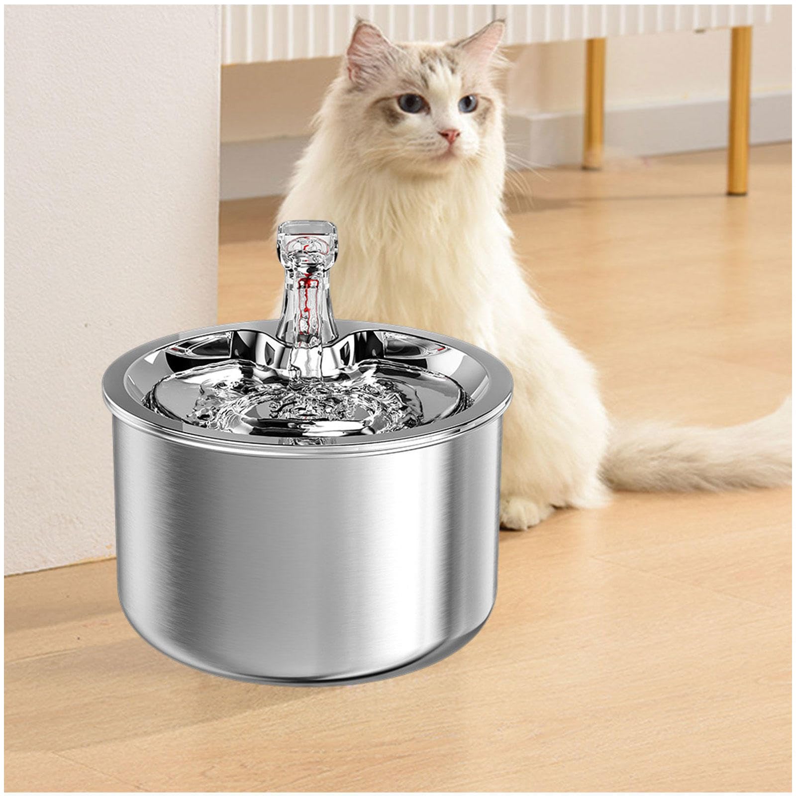 An application scenario or product detail of cold water for cats - Image 8