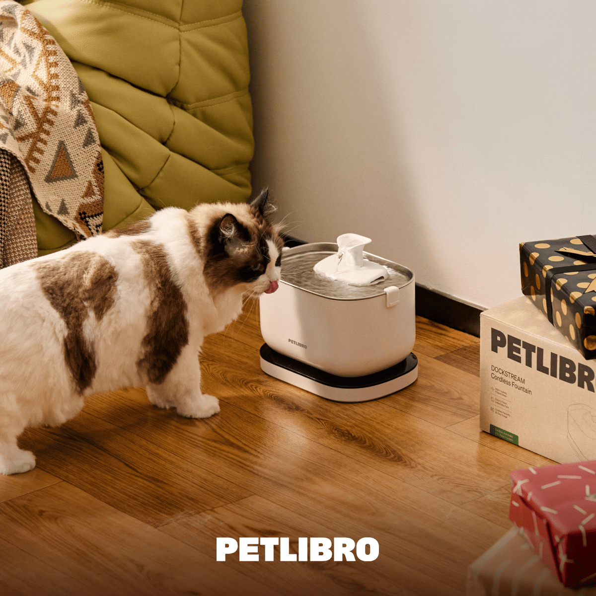 An application scenario or product detail of cold water for cats - Image 18