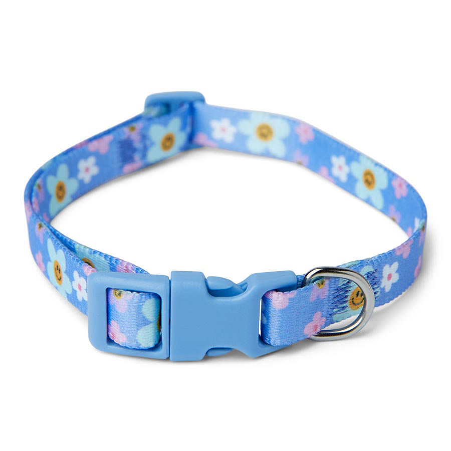 An application scenario or product detail of collars pets at home - Image 4