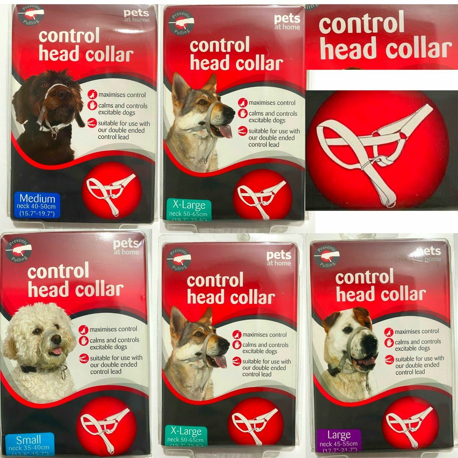 An application scenario or product detail of collars pets at home - Image 7