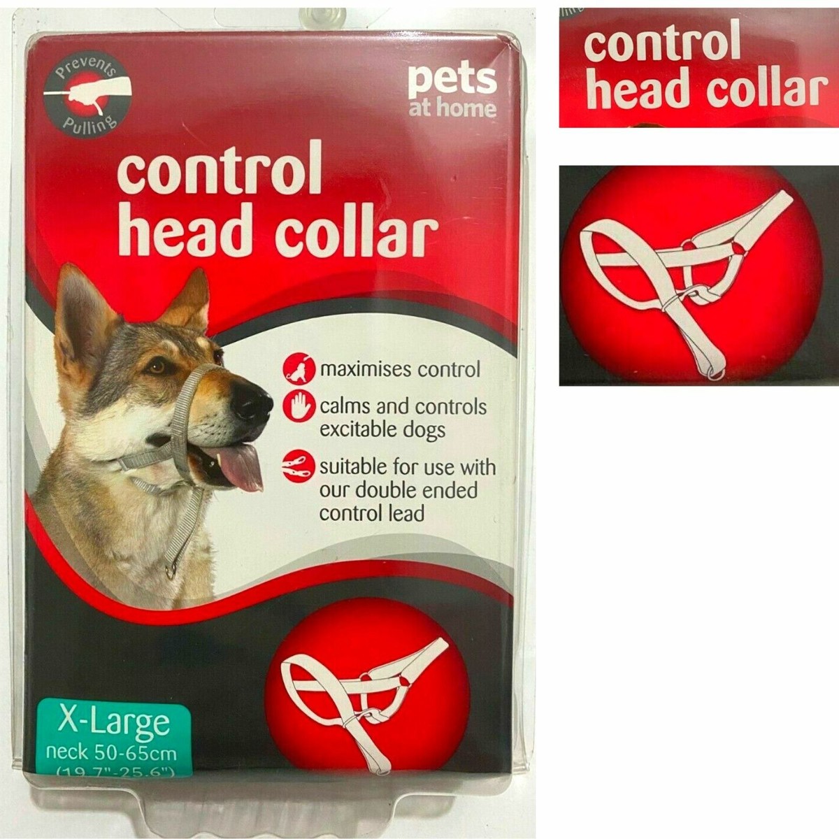 An application scenario or product detail of collars pets at home - Image 11