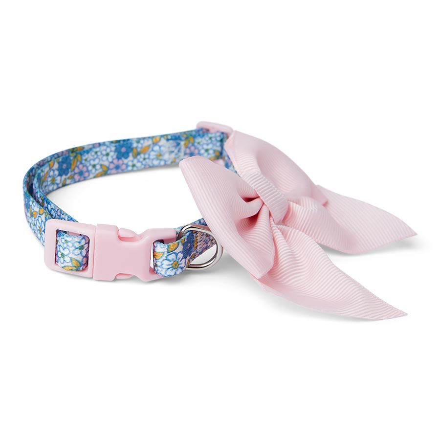 An application scenario or product detail of collars pets at home - Image 12