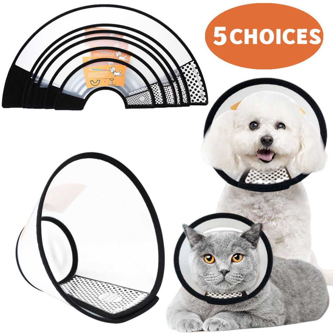 An application scenario or product detail of collars pets at home - Image 13