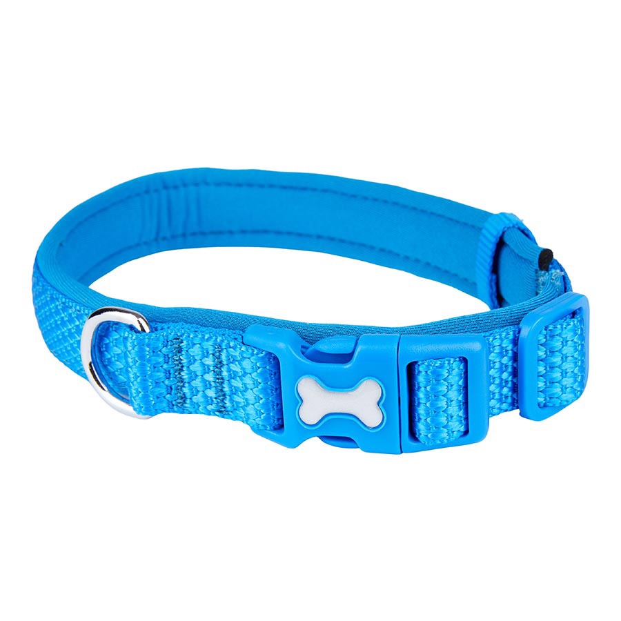 Featured image for the collars pets at home guide