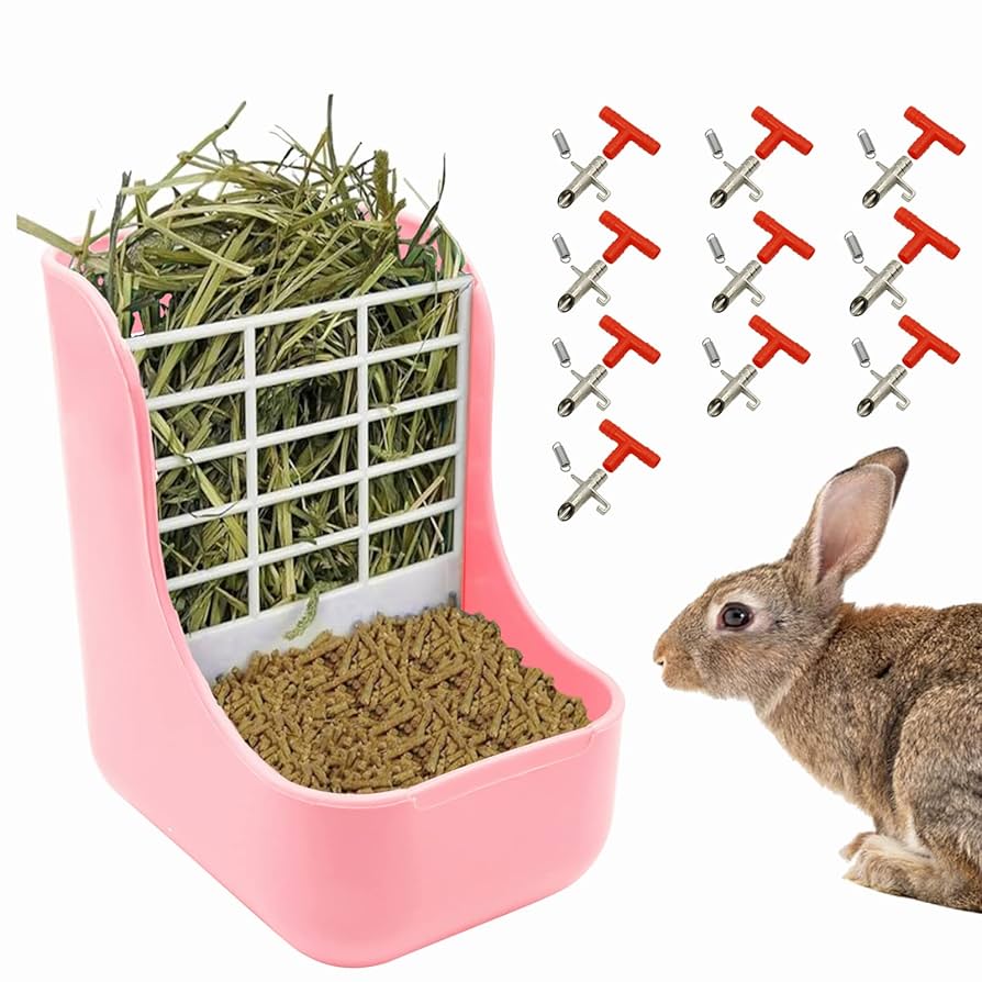 An application scenario or product detail of comederos para conejos - Image 2