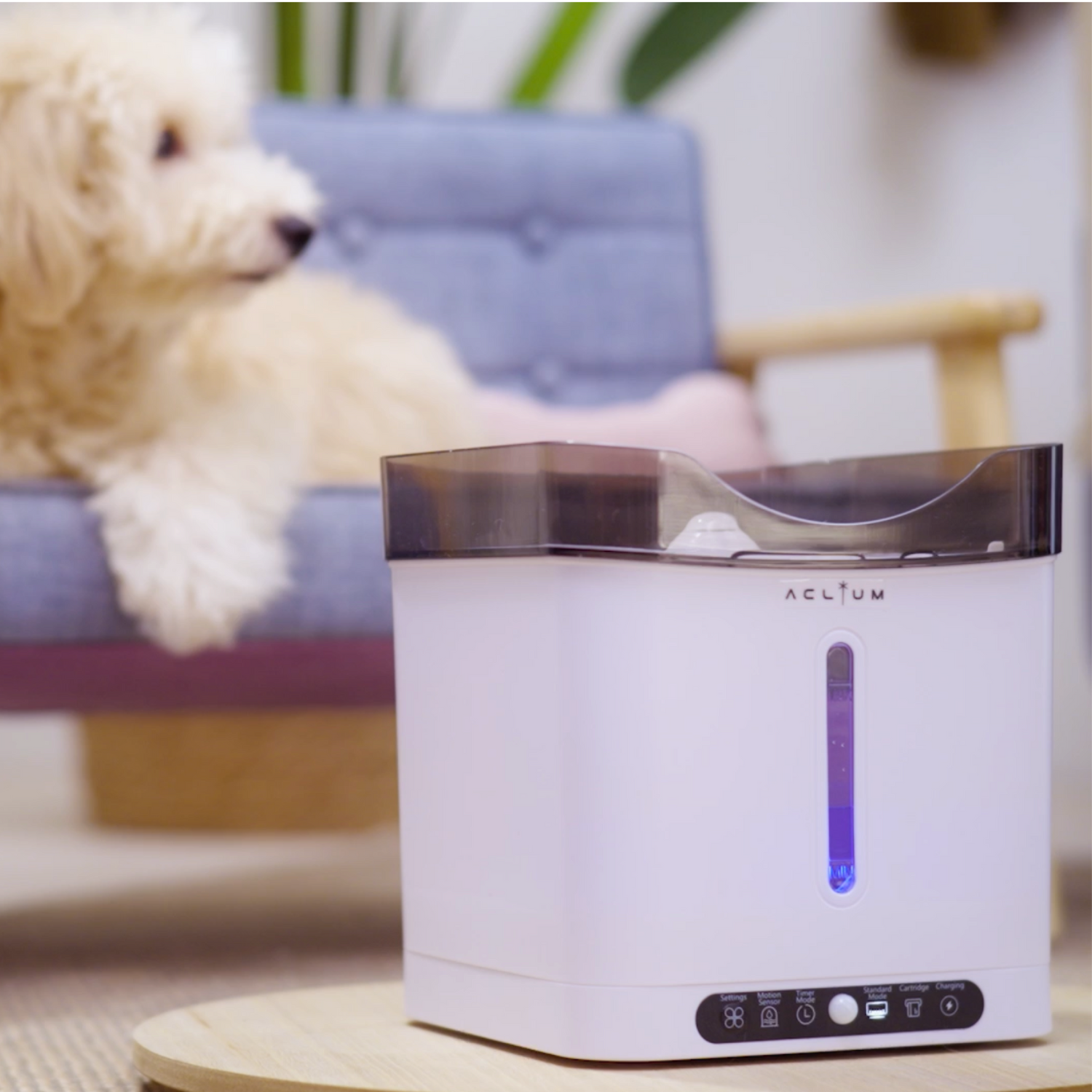 An application scenario or product detail of cordless dog water fountain - Image 17