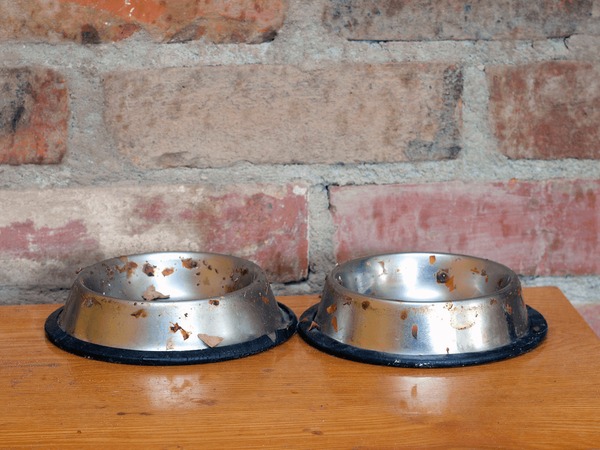 An application scenario or product detail of dirty dog water bowl - Image 2