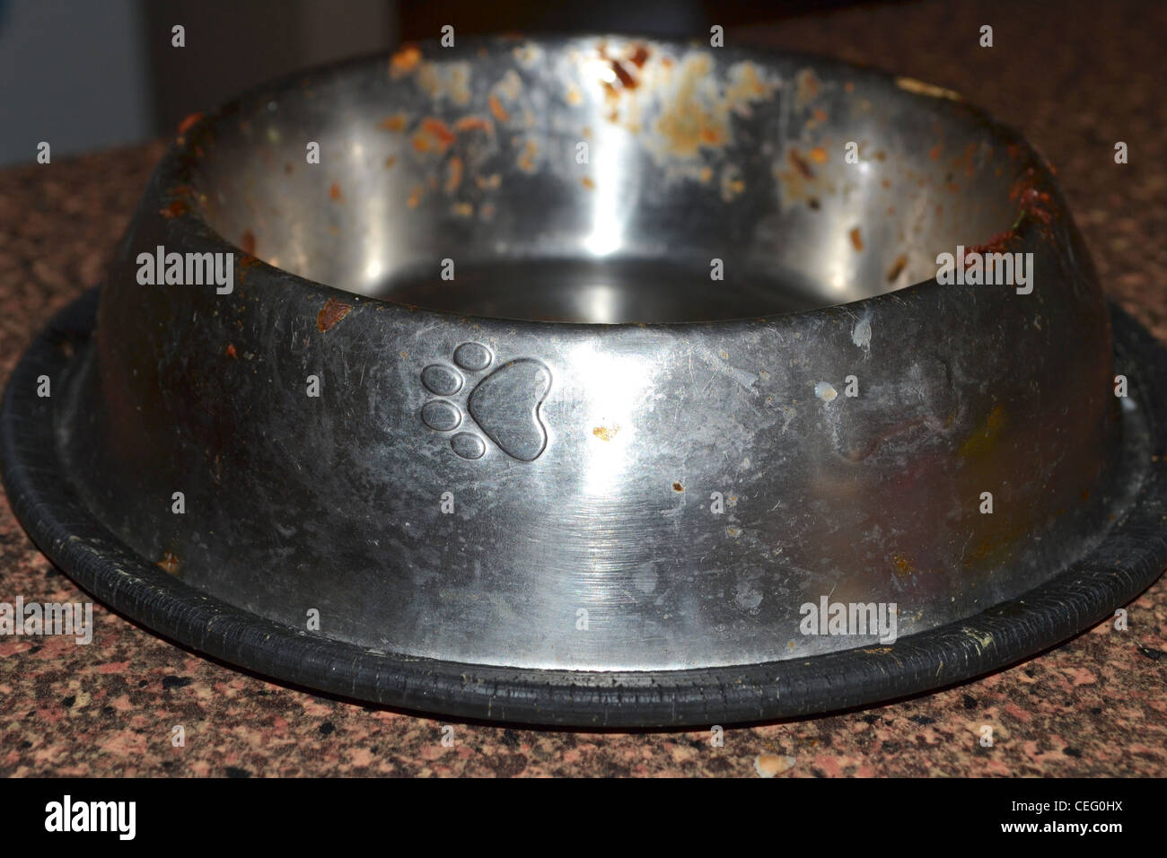 An application scenario or product detail of dirty dog water bowl - Image 7