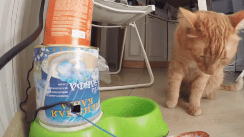 An application scenario or product detail of dispenser cat - Image 9