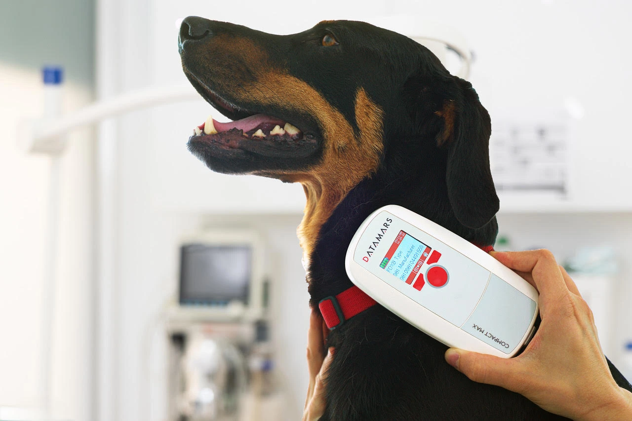 An application scenario or product detail of do animal chips have gps - Image 12