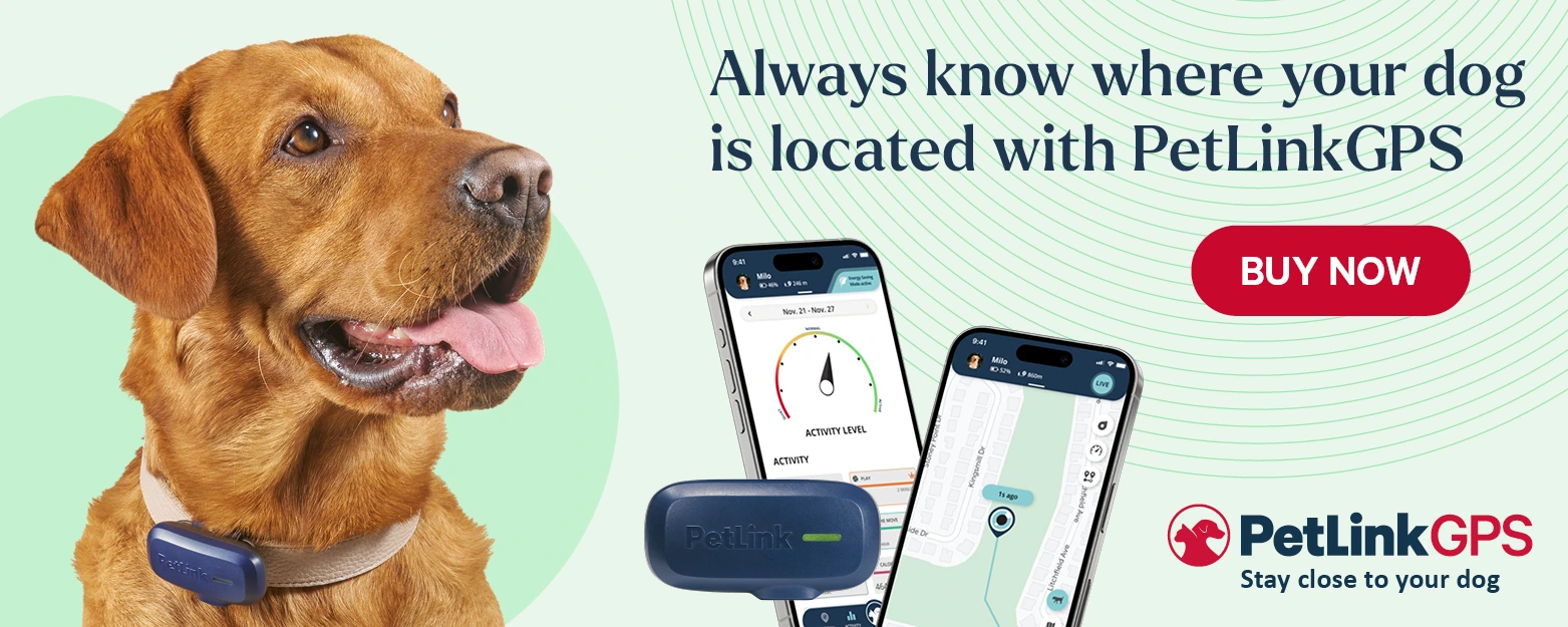 An application scenario or product detail of do animal chips have gps - Image 15