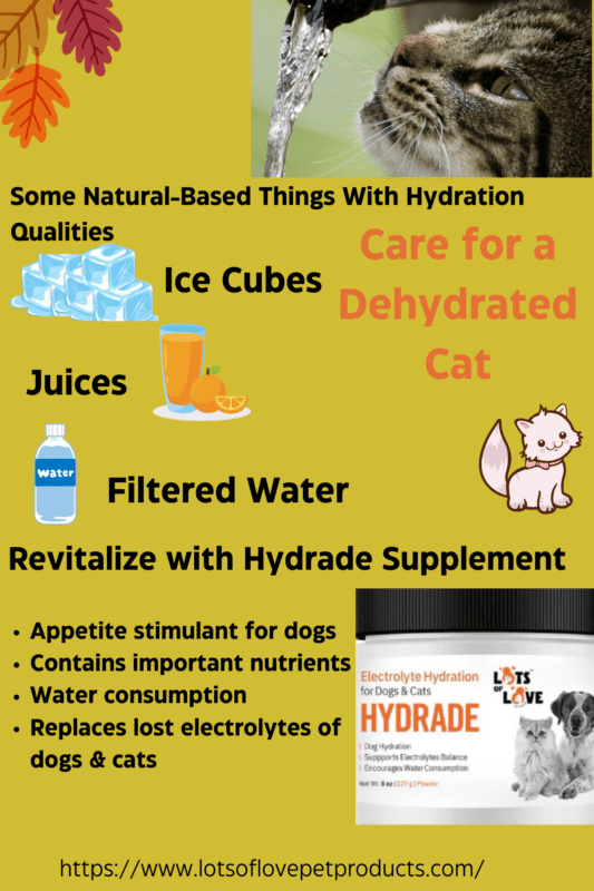 An application scenario or product detail of do cats like ice water - Image 12