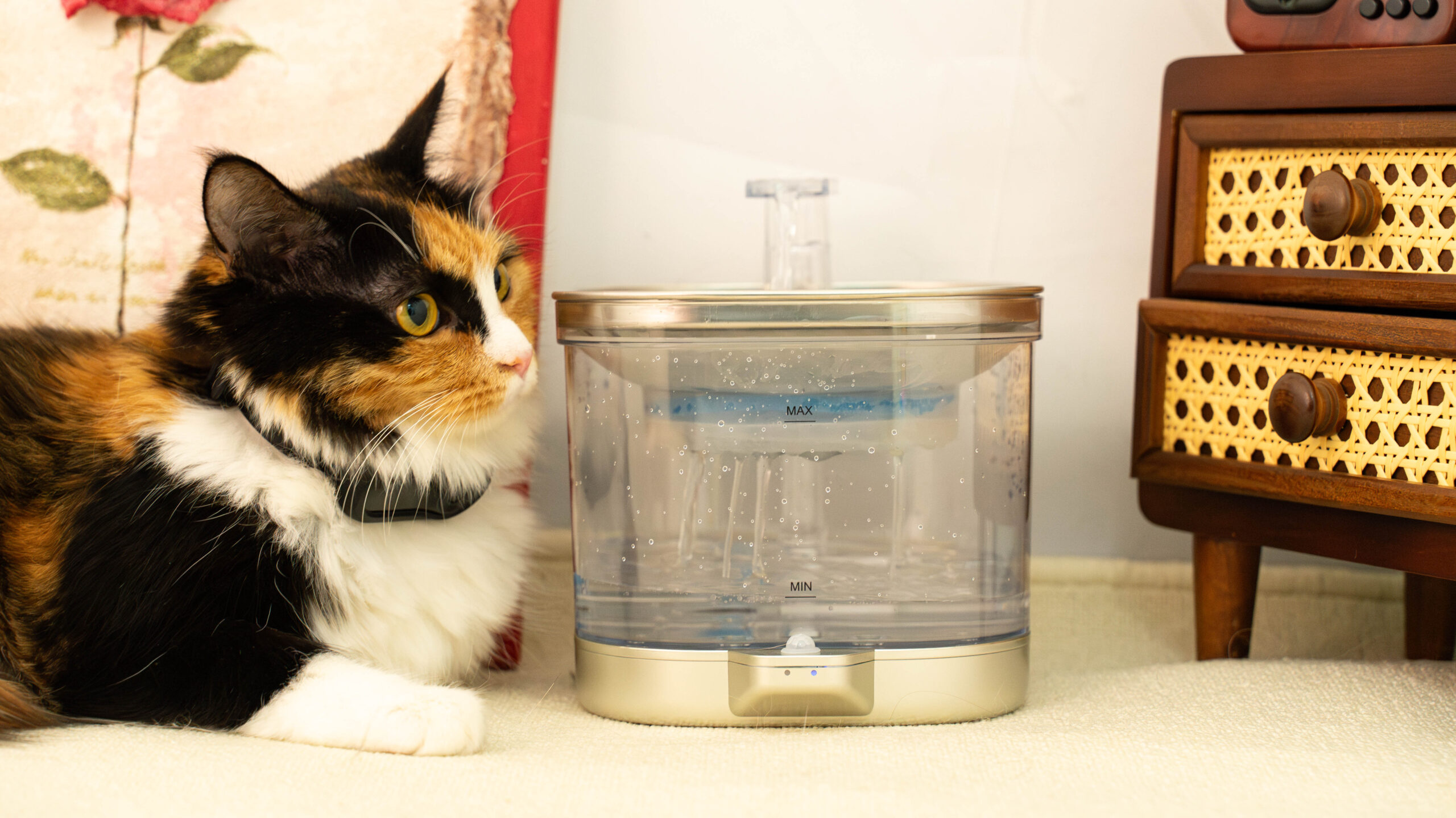 An application scenario or product detail of do cats like water fountains - Image 14