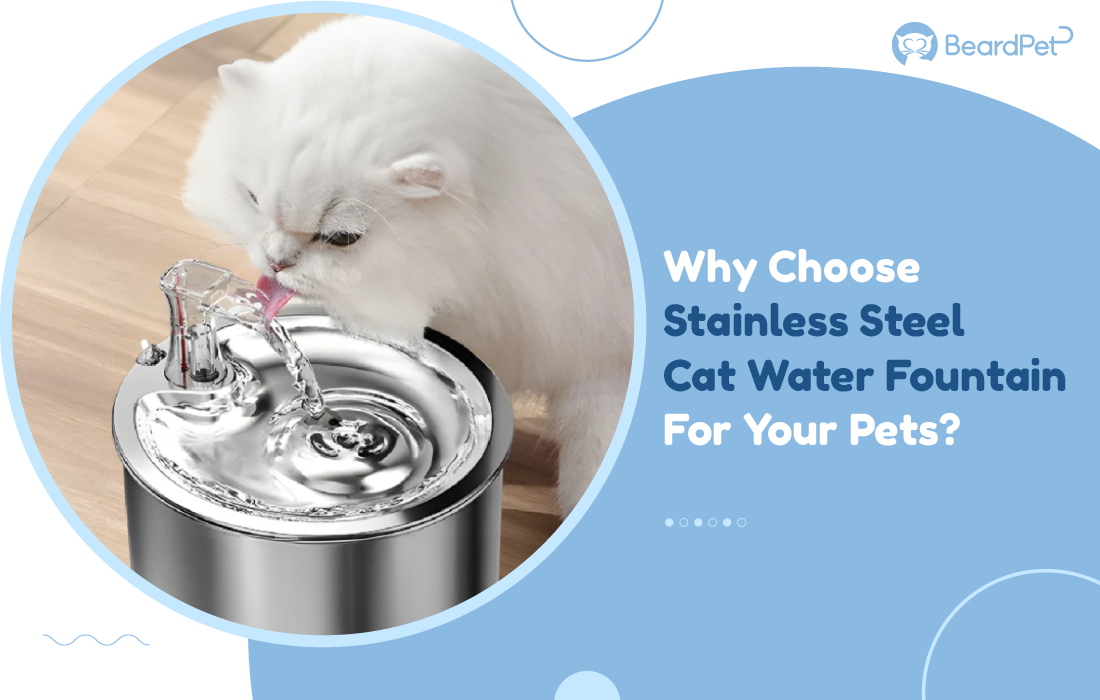 An application scenario or product detail of do cats need a water fountain - Image 17