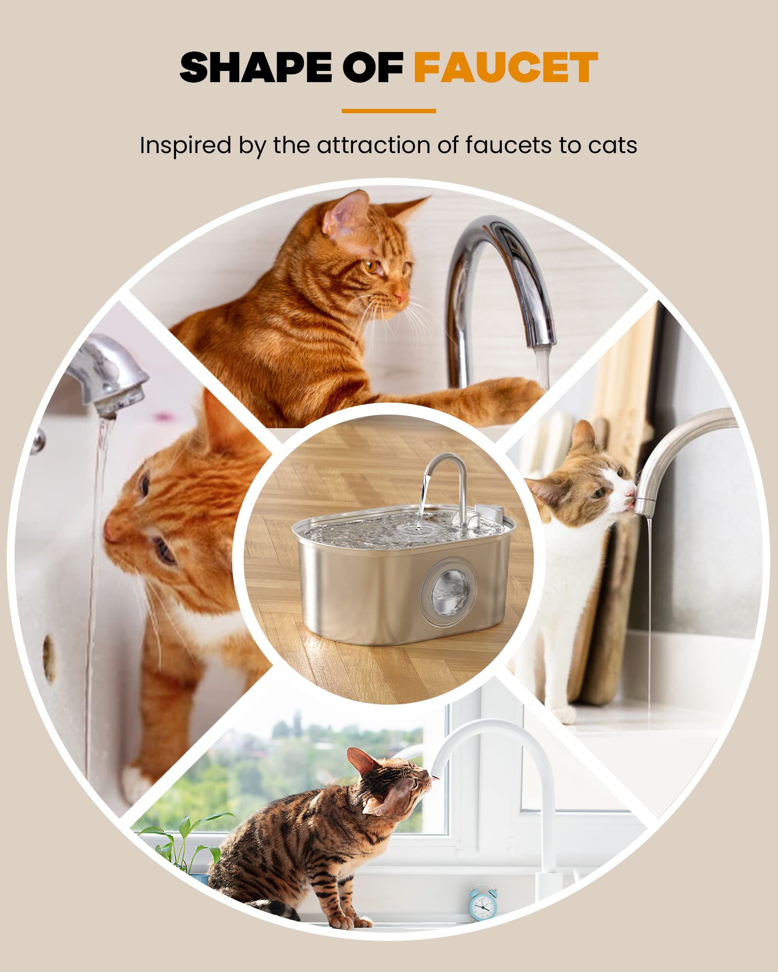 An application scenario or product detail of do cats need a water fountain - Image 23