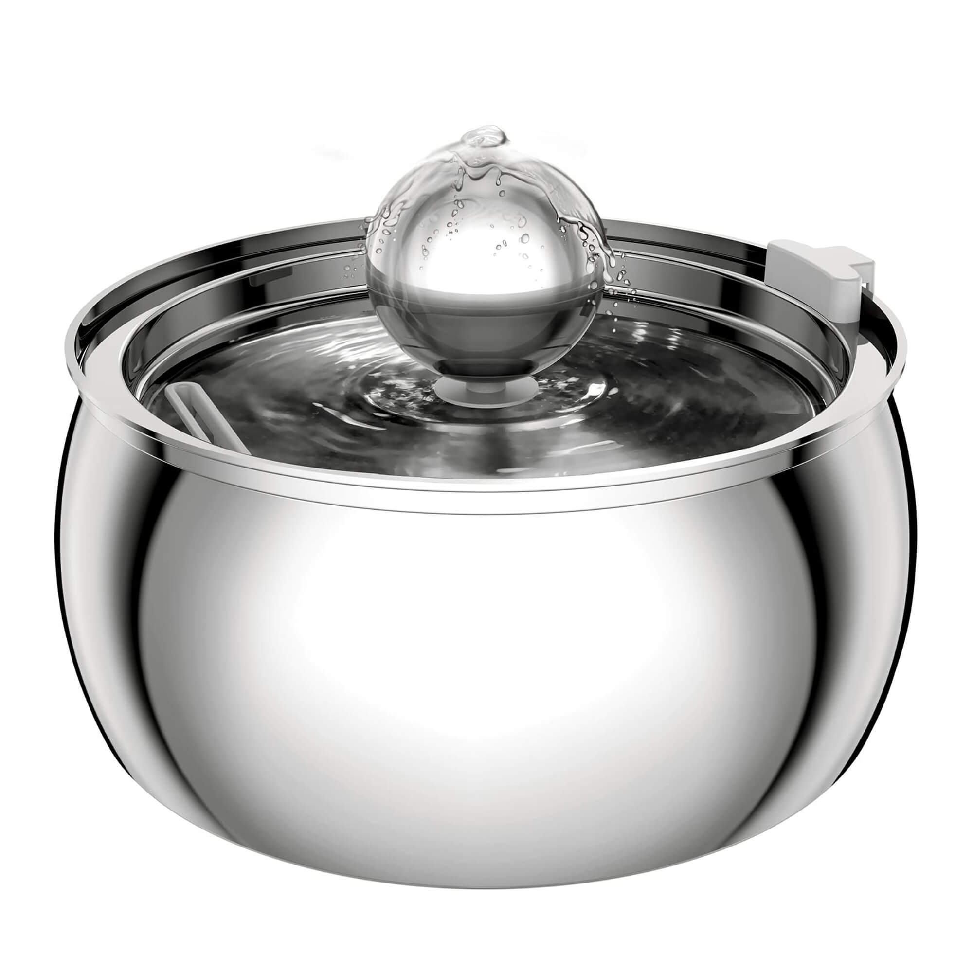 An application scenario or product detail of do dogs like cold water - Image 15