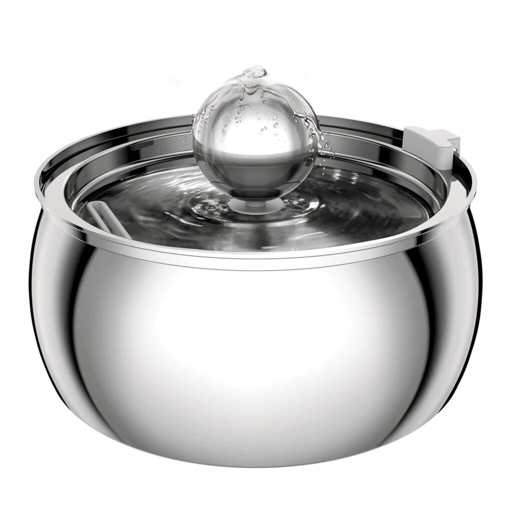 Featured image for the do dogs prefer cold water guide