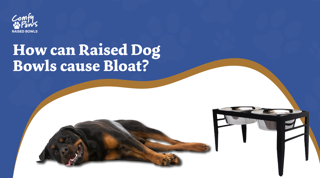An application scenario or product detail of do elevated dog bowls cause bloat - Image 1